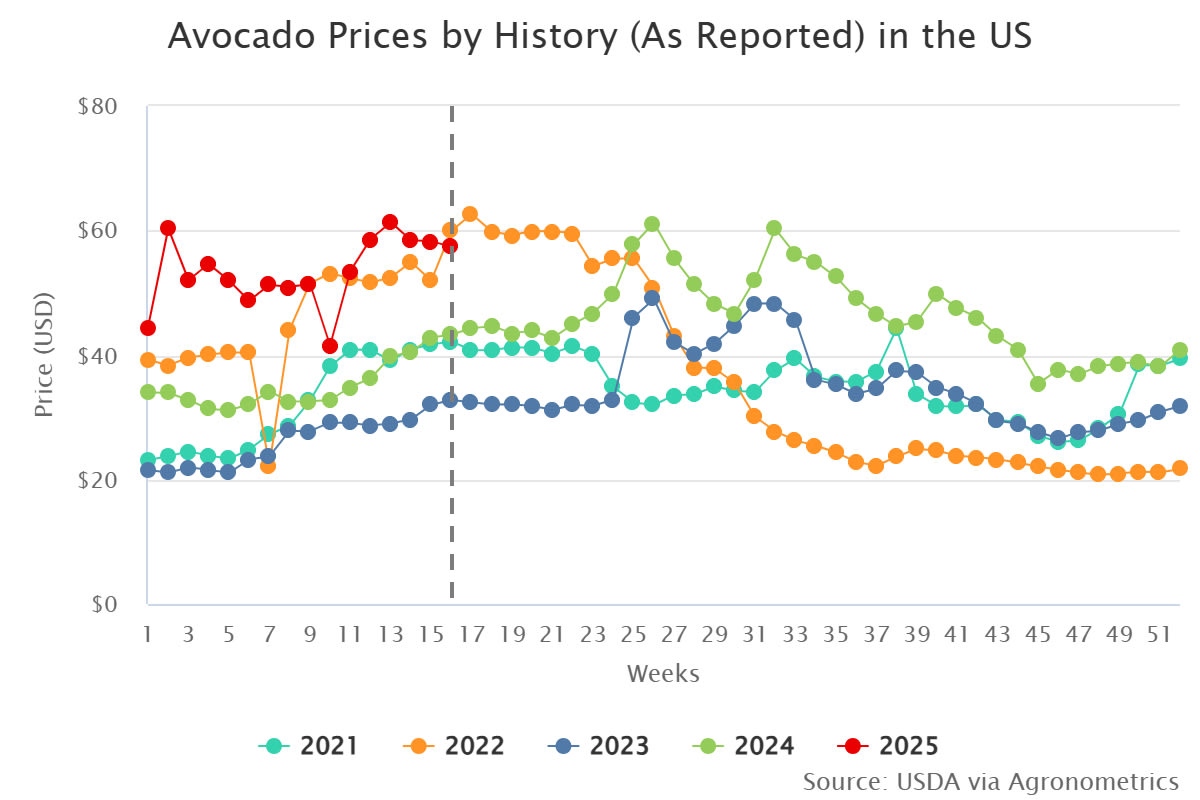 avocado prices by histor
